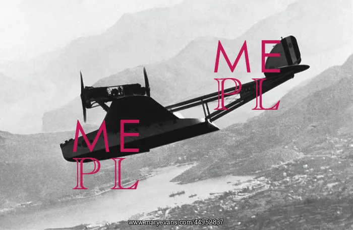 : Savoia Marchetti S-55 Flying Boat : Savoia Marchetti S-55 Flying Boat