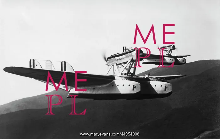 : Savoia Marchetti S-55 Flying Boat : Savoia Marchetti S-55 Flying Boat