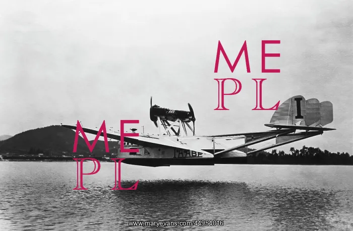 : Savoia Marchetti S-55 Flying Boat : Savoia Marchetti S-55 Flying Boat