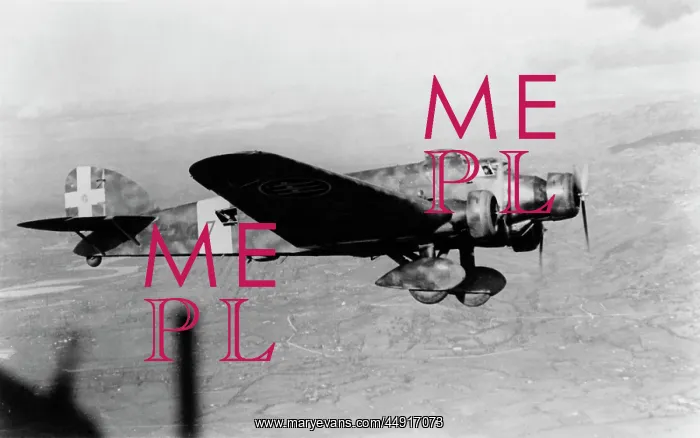 : Savoia Marchetti SM-81 : Savoia Marchetti SM-81