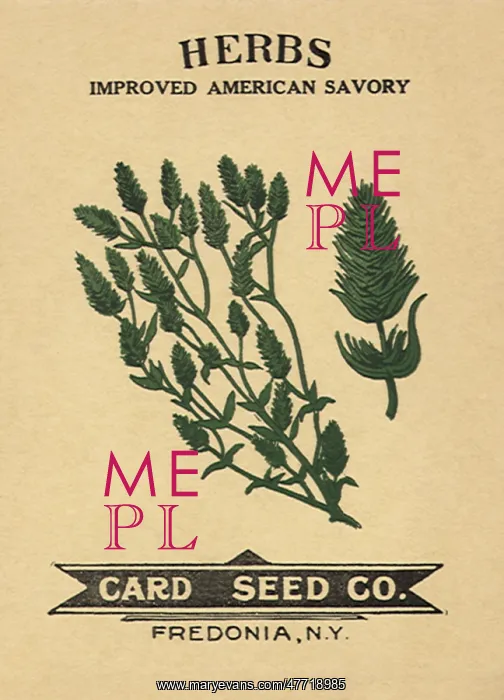  : Savory Seed Packet