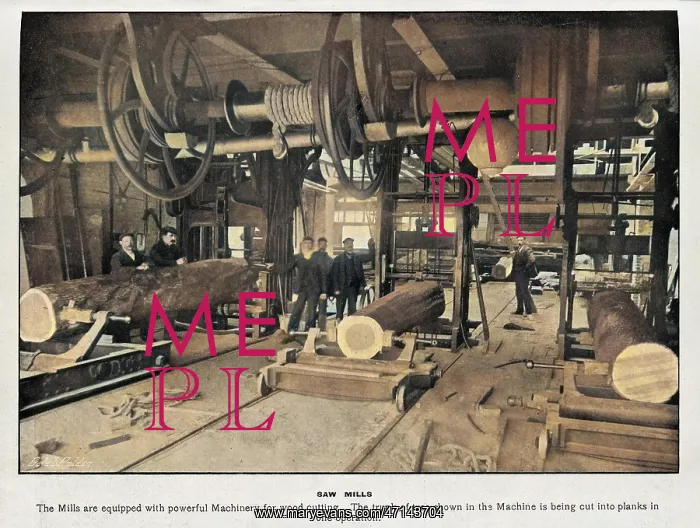: Saw Mills, Woolwich Arsenal : Saw Mills, Woolwich Arsenal