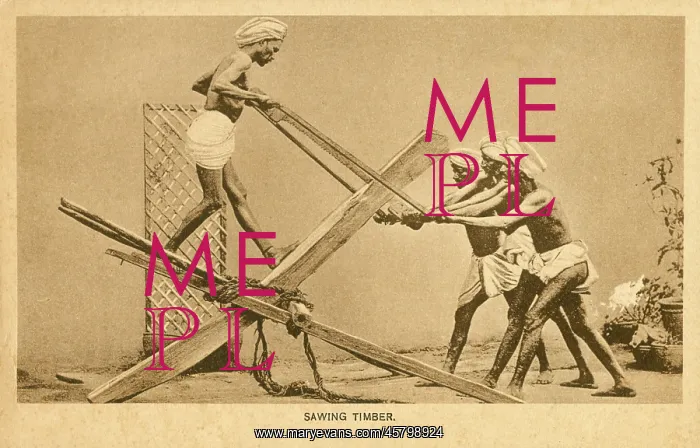  : Sawing Timber - India