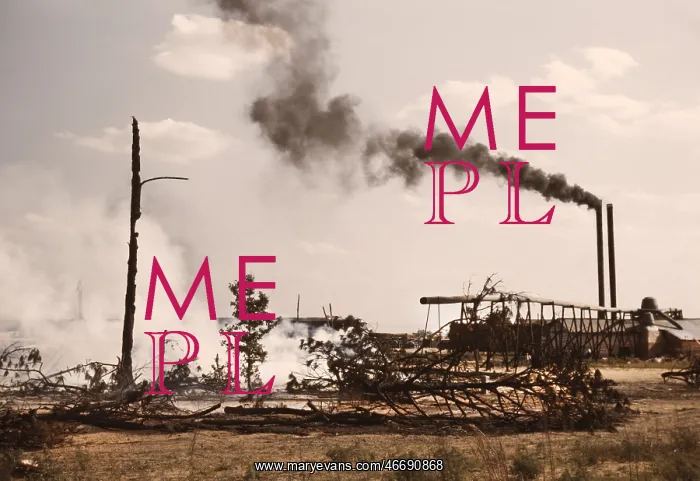 : Sawmill - pollution - industry - industry : Sawmill - pollution - industry - industry