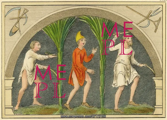  : SAXON RUSTICS