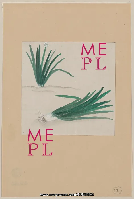 : Scallions with plant growing in the background : Scallions with plant growing in the background