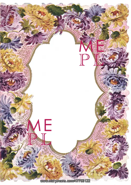  : Scalloped Floral Border