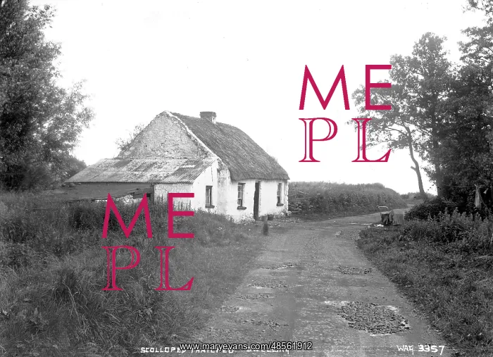 : Scalloped Thatched Dwelling : Scalloped Thatched Dwelling