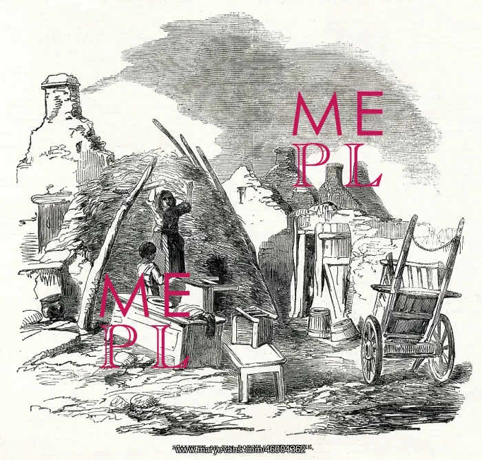 : Scalpeen of Tim Downs at Dunmore, Ireland 1849 : Scalpeen of Tim Downs at Dunmore, Ireland 1849