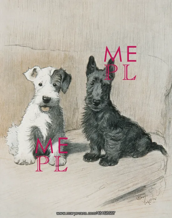 : TWO SCAMPS / CECIL ALDIN : TWO SCAMPS / CECIL ALDIN