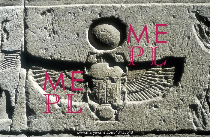 : Scarab beetle and vulture wings under disk of : Scarab beetle and vulture wings under disk of