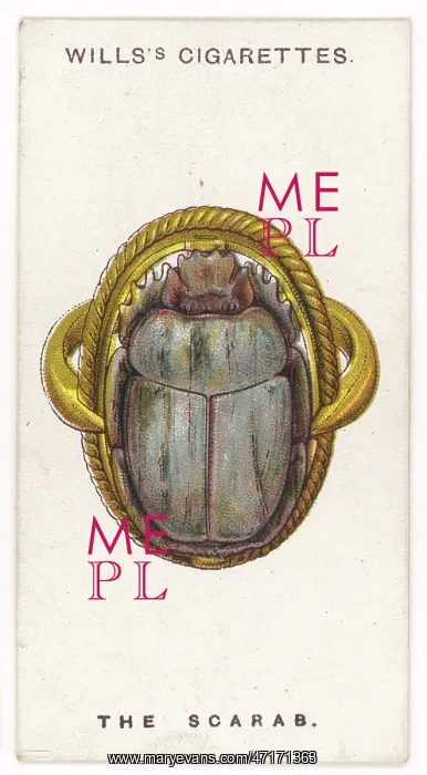 : SCARAB TALISMAN : SCARAB TALISMAN