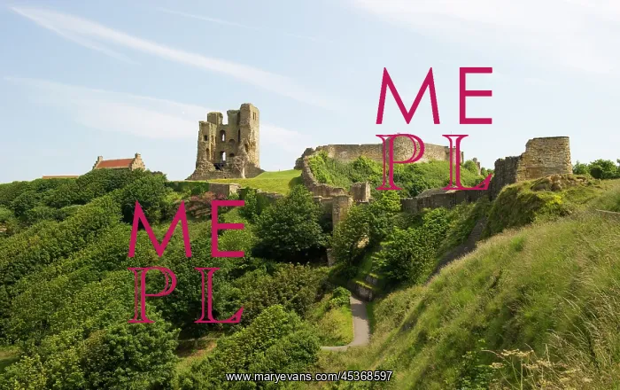 : Scarborough Castle : Scarborough Castle