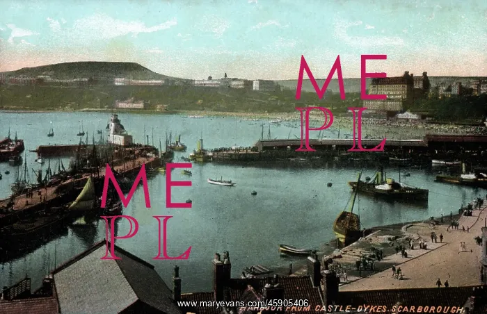 : Scarborough - The Harbour from Castle Dykes : Scarborough - The Harbour from Castle Dykes