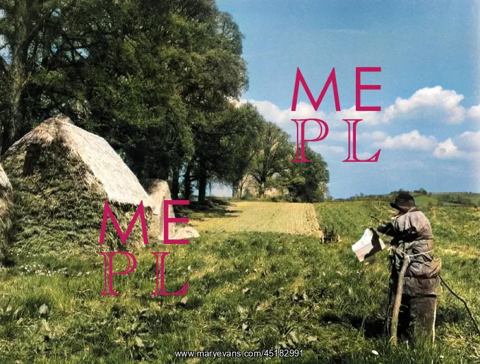 : SCARECROW ON A FARM : SCARECROW ON A FARM