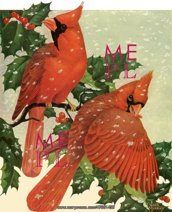  : Scarlet Cardinals