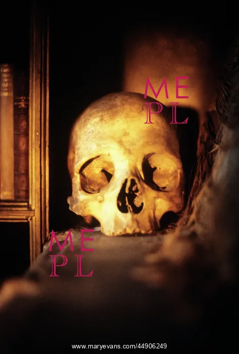  : Scary skull on shelf looking at camera