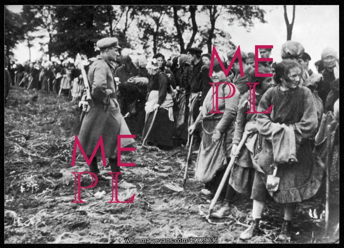 : SCAVENGERS / 1919 : SCAVENGERS / 1919