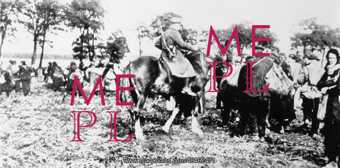 : SCAVENGERS / 1919 : SCAVENGERS / 1919