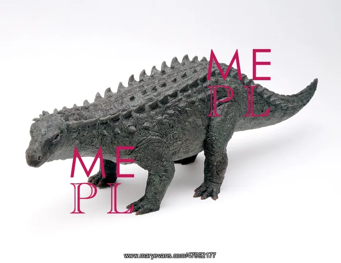 : Scelidosaurus : Scelidosaurus