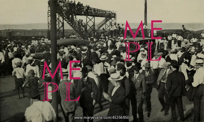  : Scene at the beginning of the Chicago Race Riot