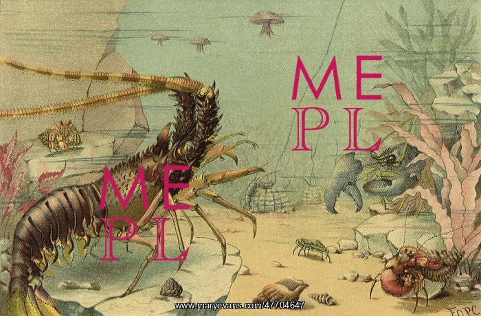 : Scene Beneath the Sea : Scene Beneath the Sea