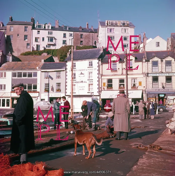  : Scene in Brixham Harbour, Devon
