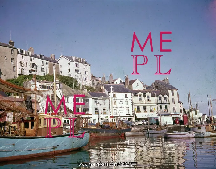  : Scene in Brixham Harbour, Devon