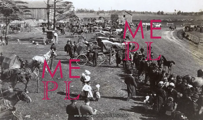  : Scene at a busy country racecourse