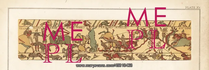 : Scene of carnage from the Battle of Hastings : Scene of carnage from the Battle of Hastings