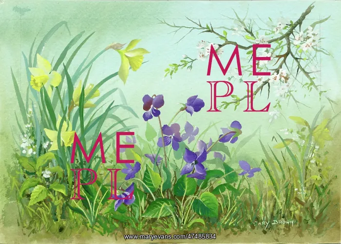  : Scene with daffodils, violets and blackthorn