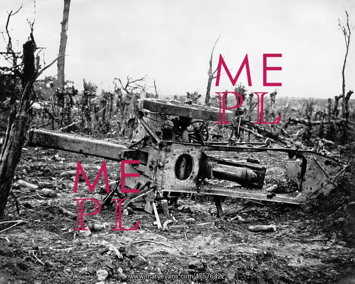 : Scene of desolation on the Somme, Western Front, WW1 : Scene of desolation on the Somme, Western Front, WW1