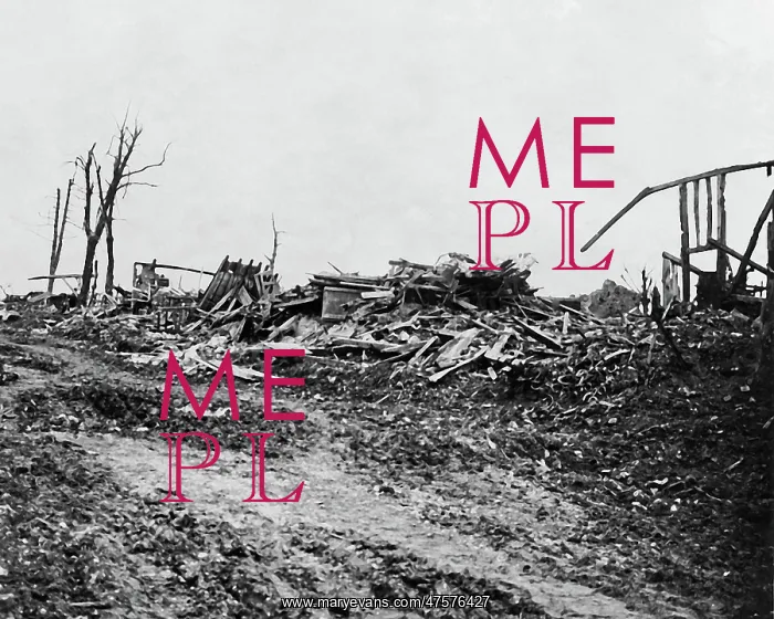: Scene of desolation on the Somme, Western Front, WW1 : Scene of desolation on the Somme, Western Front, WW1