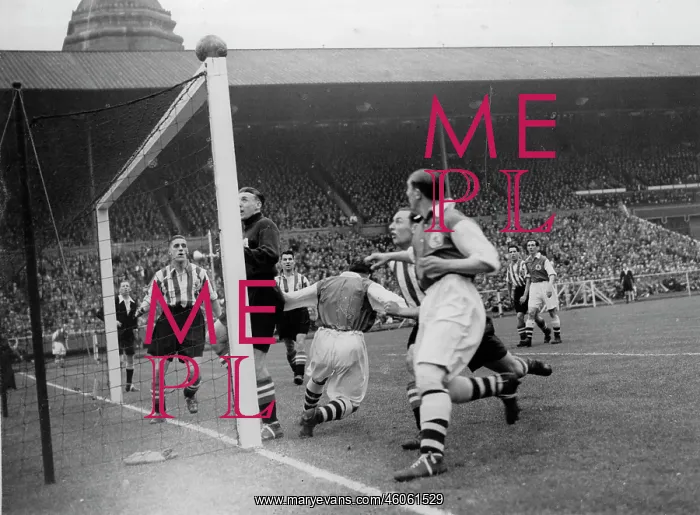 : Scene in a football game : Scene in a football game