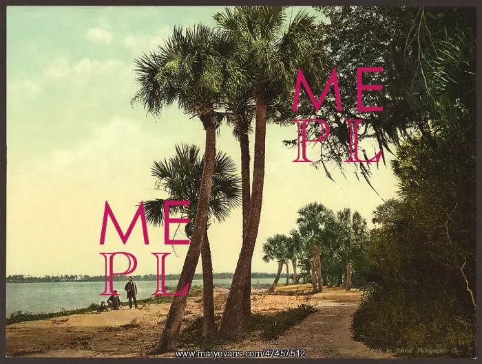  : Scene; Indian River, Florida