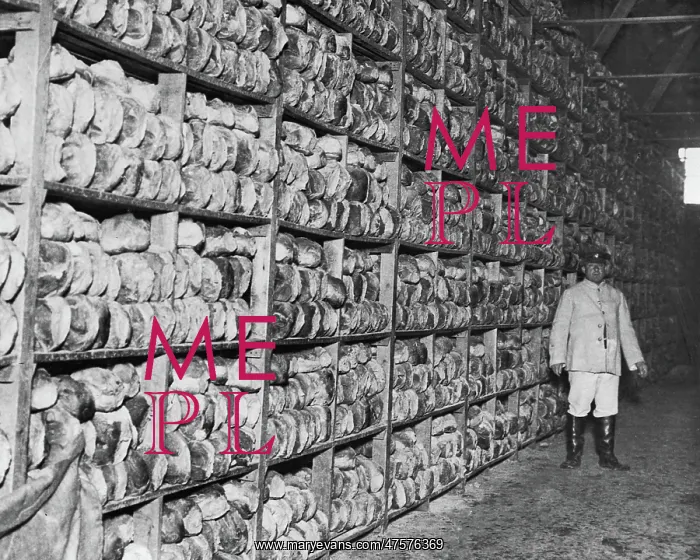 : Scene inside a bread store, Western Front, WW1 : Scene inside a bread store, Western Front, WW1