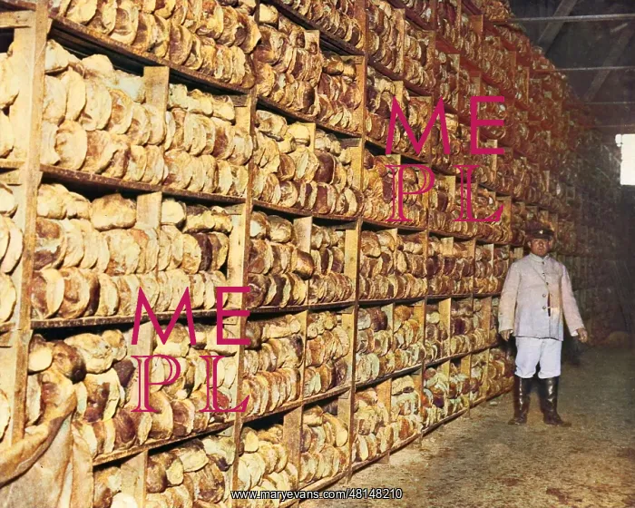 : Scene inside a bread store, Western Front, WW1 : Scene inside a bread store, Western Front, WW1