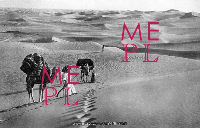 : Scene in the Libyan or Western Desert, Egypt : Scene in the Libyan or Western Desert, Egypt