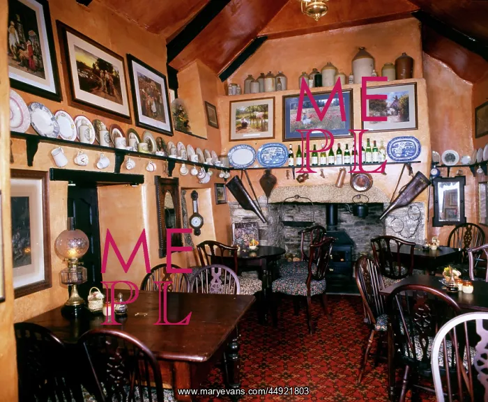 : Scene in a local pub, the Star Inn, somewhere in Cornwall : Scene in a local pub, the Star Inn, somewhere in Cornwall