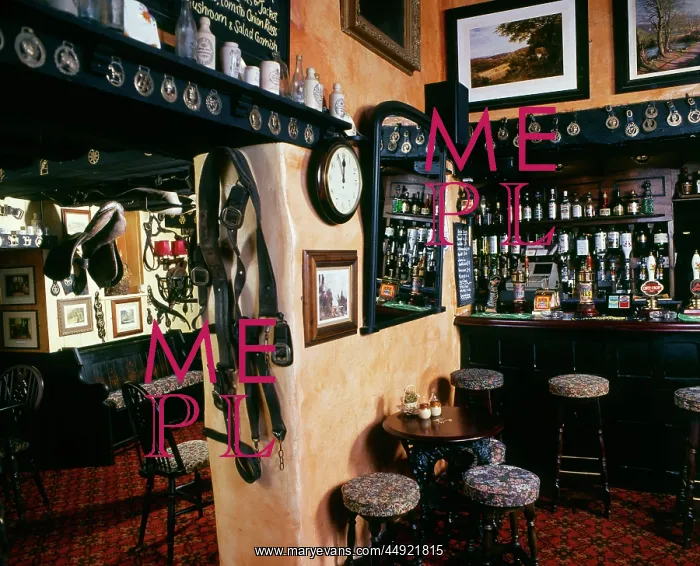 : Scene in a local pub, the Star Inn, somewhere in Cornwall : Scene in a local pub, the Star Inn, somewhere in Cornwall