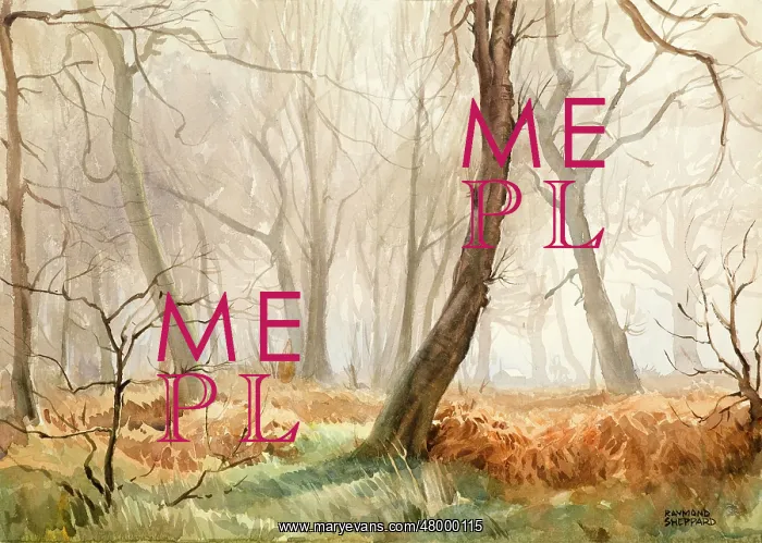  : Scene in a misty wood