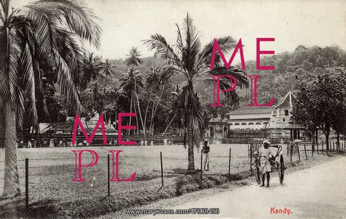 : Scene with rickshaw, Kandy, Ceylon (Sri Lanka) : Scene with rickshaw, Kandy, Ceylon (Sri Lanka)