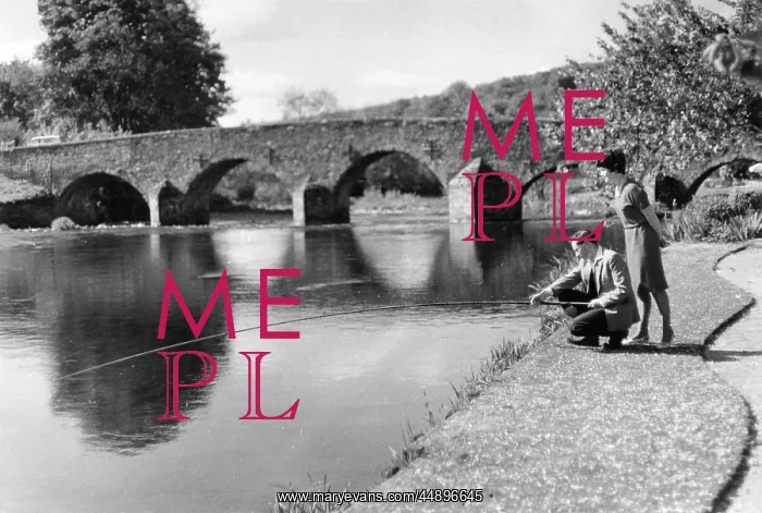 : Scene on the River Exe at Bickleigh Bridge, Devon : Scene on the River Exe at Bickleigh Bridge, Devon