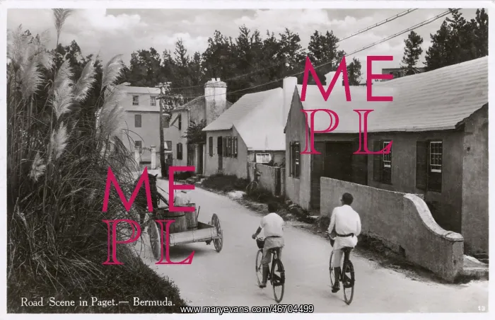  : A Scene on a road at Paget, Bermuda