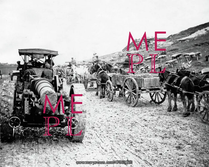 : Scene on a road, Western Front, WW1 : Scene on a road, Western Front, WW1