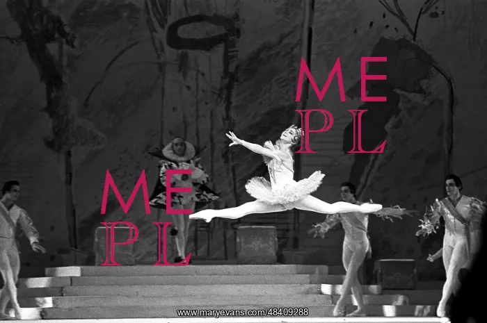 : Scene from Sleeping Beauty ballet, 1968 : Scene from Sleeping Beauty ballet, 1968