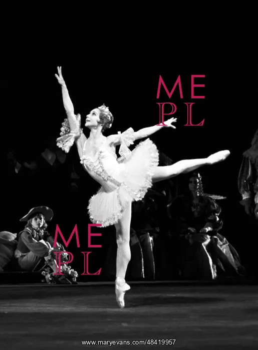 : Scene from The Sleeping Beauty ballet, 1973 : Scene from The Sleeping Beauty ballet, 1973
