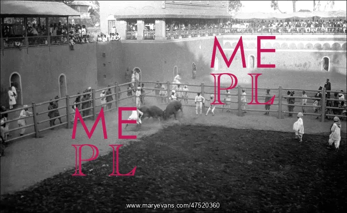 : Scene in a sporting arena, India : Scene in a sporting arena, India
