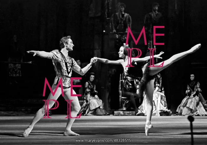: Scene from Swan Lake, 1978 : Scene from Swan Lake, 1978