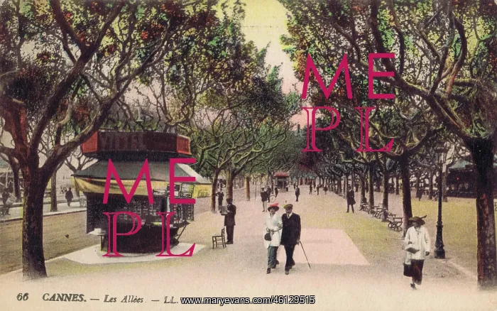  : A scene of a tree lined avenue in Cannes, 1920s
